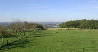Gîte de groupe La Ferme des Réaux Gîte de groupe La Ferme des Réaux