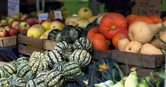 Marché de Domérat