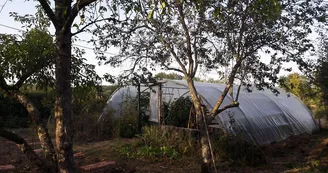 Gîte de Groupe l'Héberge Gîte de Groupe l'Héberge