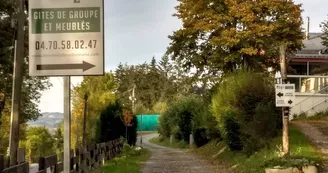 Domaine la Bourbonnaise - Dédalys 1 Domaine la Bourbonnaise - Dédalys 1