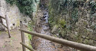 Gîte de groupe du bourg d'Arfeuilles Gîte de groupe du bourg d'Arfeuilles