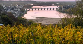 Panorama sur Saumur et la Loire Panorama sur Saumur et la Loire