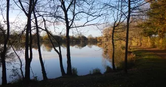 aire-loisirs-peche-grand-fosse-le-mesnil-en-vallee (3) aire-loisirs-peche-grand-fosse-le-mesnil-en-vallee (3)