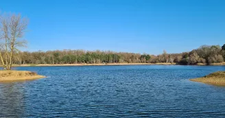 Etang de Vivy Etang de Vivy