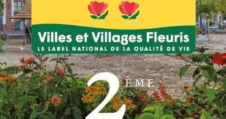 Nouvelle fleur Nouvelle fleur
