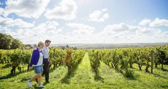 https://reservation.destination-angers.com/medias/images/prestataires/2891805-balade_dans_les_vignobles_de_savennieres_1763847.jpg_3