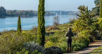 Dans le jardin méditerraneen à Sainte-Gemmes-sur-Loire Dans le jardin méditerraneen à Sainte-Gemmes-sur-Loire