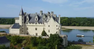 Château de Montsoreau vu du coteau Château de Montsoreau vu du coteau