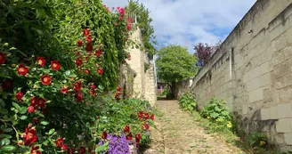Ruelle fleurie de Montsoreau Ruelle fleurie de Montsoreau