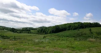 Gîte d'étape communal : L'abri