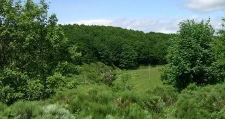 Gîte d'étape communal : L'abri