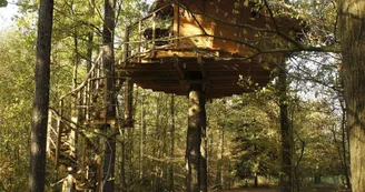 Château des Énigmes - La Cabane des Écureuils Château des Énigmes - La Cabane des Écureuils