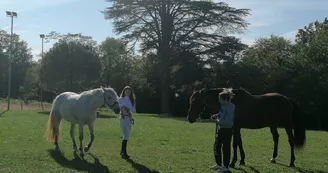 Le Bercail Equitation Le Bercail Equitation