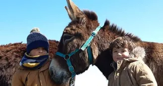 Les Ânes d'Oléron Les Ânes d'Oléron