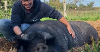 Les Ânes d'Oléron Les Ânes d'Oléron