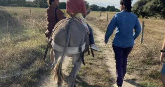 Les Ânes d'Oléron Les Ânes d'Oléron