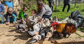 La Ferme d'Yvonne La Ferme d'Yvonne