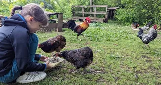 La Ferme d'Yvonne La Ferme d'Yvonne