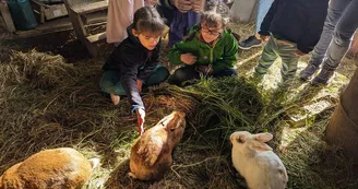 La Ferme d'Yvonne La Ferme d'Yvonne