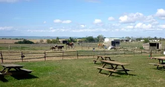 Ferme pédagogique - L'Autruche de Laurette Ferme pédagogique - L'Autruche de Laurette