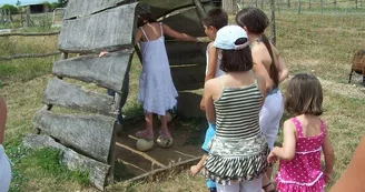 Ferme pédagogique - L'Autruche de Laurette Ferme pédagogique - L'Autruche de Laurette