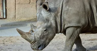 Zoo de La Palmyre