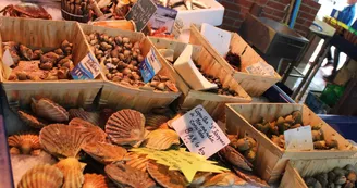 Marché de Jonzac Marché de Jonzac