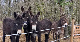 Ferme Pédagogique de La Cressonnière Ferme Pédagogique de La Cressonnière
