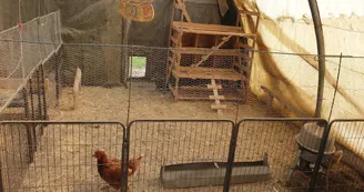 Ferme Pédagogique de La Cressonnière Ferme Pédagogique de La Cressonnière