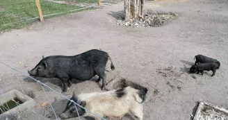 Ferme Pédagogique de La Cressonnière Ferme Pédagogique de La Cressonnière