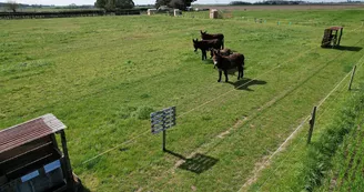 Ferme Pédagogique de La Cressonnière Ferme Pédagogique de La Cressonnière