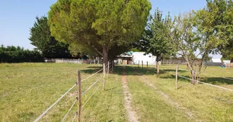 Ferme Pédagogique de La Cressonnière Ferme Pédagogique de La Cressonnière