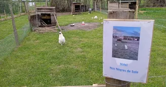 Ferme Pédagogique de La Cressonnière Ferme Pédagogique de La Cressonnière