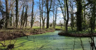 Le Logis de l'Héronière Le Logis de l'Héronière