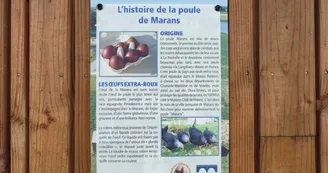 Poulailler conservatoire de la poule "La Marans" Poulailler conservatoire de la poule "La Marans"
