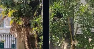 La Roue Cool La Roue Cool