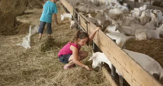 La ferme des fillaos La ferme des fillaos
