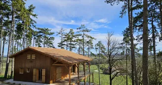 Cottage des pins - chalet dans les vignes Cottage des pins - chalet dans les vignes