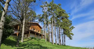Cottage des pins - chalet dans les vignes Cottage des pins - chalet dans les vignes