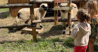 Natu'Ranch - Jeu de piste en immersion au pays des Cow-boys Natu'Ranch - Jeu de piste en immersion au pays des Cow-boys