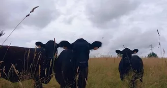 Natu'Ranch - Jeu de piste en immersion au pays des Cow-boys Natu'Ranch - Jeu de piste en immersion au pays des Cow-boys