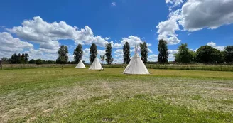 Tipis la Mésange, le moineau ou la Bergeronnette Tipis la Mésange, le moineau ou la Bergeronnette