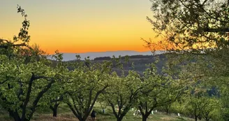 Domaine Le Charme des Collines