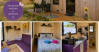 La Tiny de Miss Purple La Tiny de Miss Purple