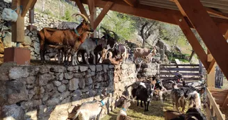 Gîtes au Viel Audon Gîtes au Viel Audon