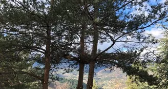 Gîte La Gorre Gîte La Gorre