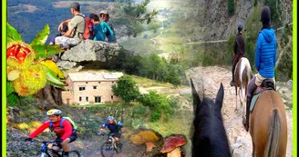 Gîte d'étape de la Chanal Gîte d'étape de la Chanal