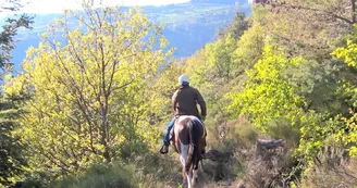 Gîte d'étape de la Chanal Gîte d'étape de la Chanal