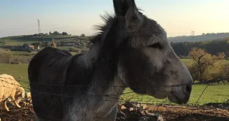 Tente Trappeur - La Ferme de Simondon Tente Trappeur - La Ferme de Simondon