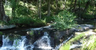 Le Moulin de Charrier Le Moulin de Charrier